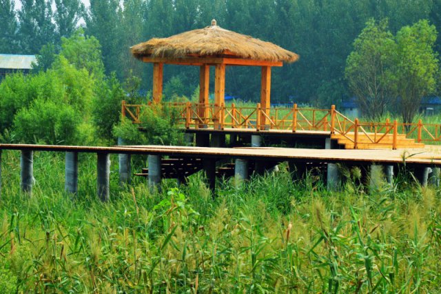 自駕玩轉河南，帳篷露營好去處——這些公園露營地你打卡了嗎？